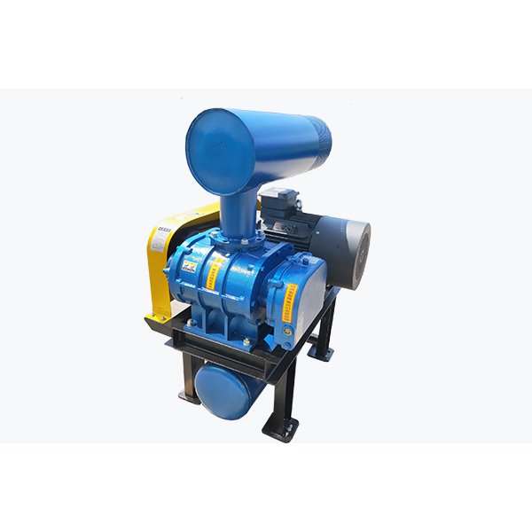 How Do You Select the Right Dense Type Positive Roots Blower for Pneumatic Conveying Systems