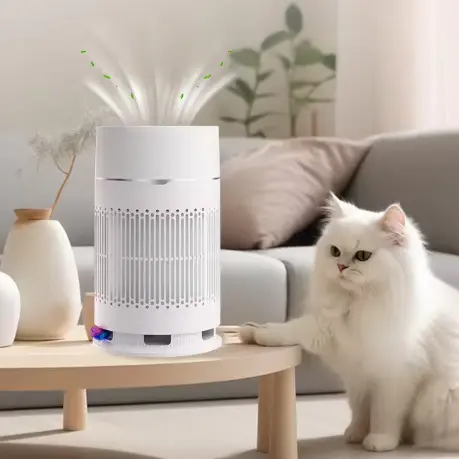 How Often Should You Replace Filters in Air Purifiers for Pets And Allergies