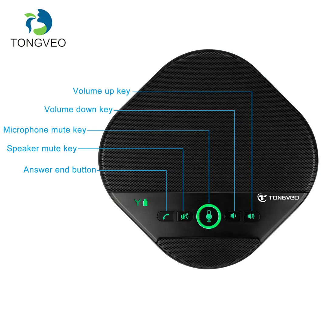 Hot Selling Laptop Wireless Mini Hidden USB Microphone Omnidirectional Microphone