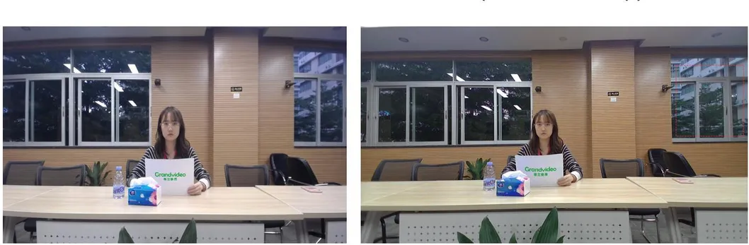 Hot Selling Webcam Conference PTZ Camera with HDMI and USB